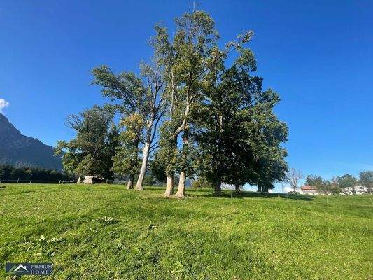 BREITENBACH am Inn - KLEINSÖLL - Baugrundstück 600 m²