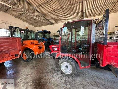 Massa Marittima Bauernhöfe, Landwirtschaft, Massa Marittima Forstwirtschaft