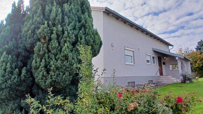 Die ideale Möglichkeit!