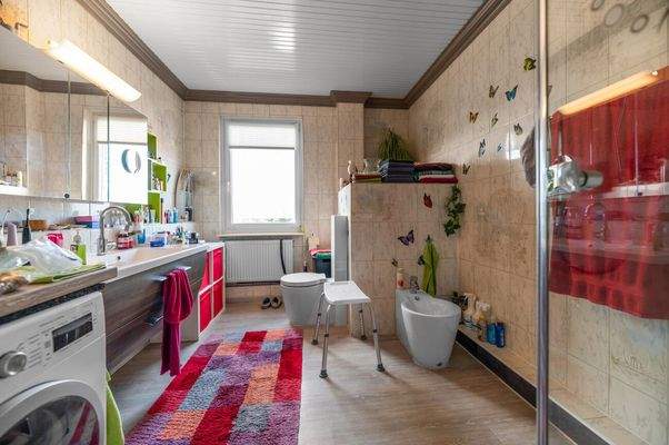 Duschbad Ansicht I OG II