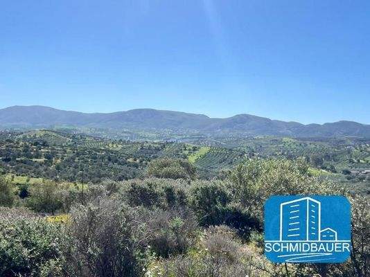 Kreta, Pitsidia: Grundstück am Ortsrand zu verkaufen