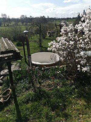 Badezuber mit Gartenblick und Magnolie