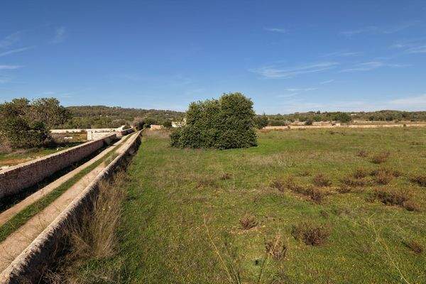 Malllorquinische Mauern  