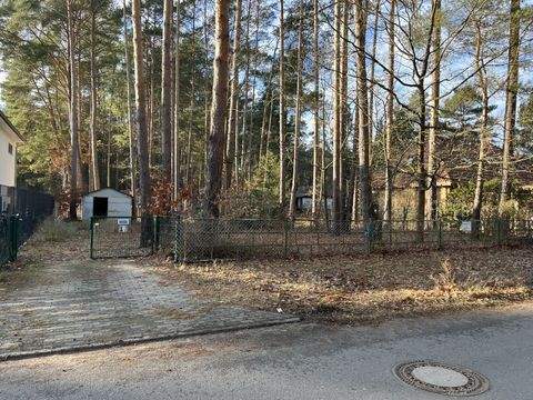 Beelitz Grundstücke, Beelitz Grundstück kaufen