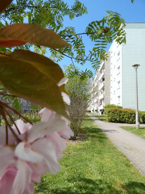 Schkeuditz Wohnungen, Schkeuditz Wohnung mieten