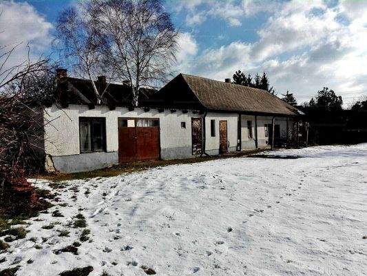 34306166_232876229_hd (1) (1).jpg