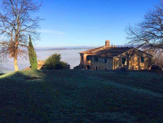 Blick von der oberen Wiese 