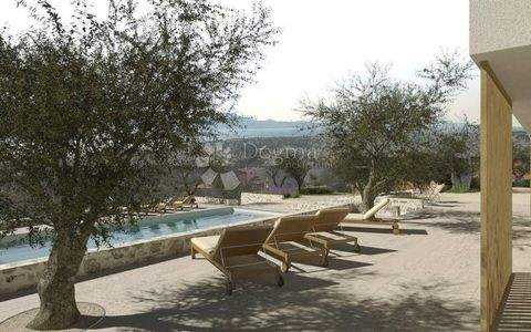 Sveti Filip i Jakov Bauernhöfe, Landwirtschaft, Sveti Filip i Jakov Forstwirtschaft