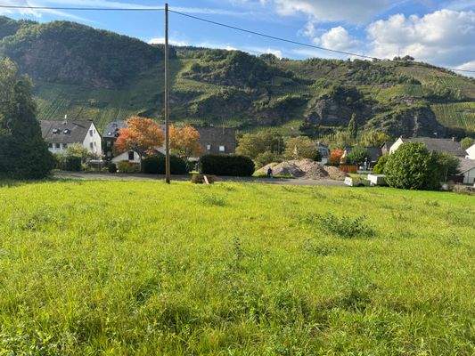 Aussicht vom Grundstück