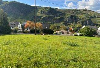 Aussicht vom Grundstück