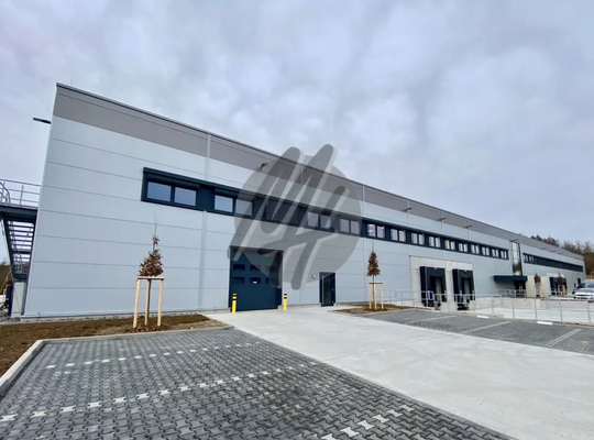 INFOS UNTER: 06171-586000