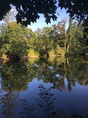 Leitenwälder in Laufnähe