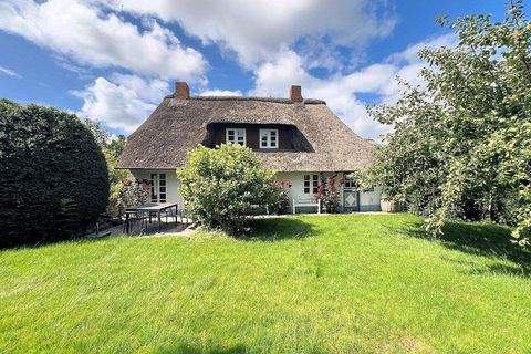 Oevenum Häuser, Oevenum Haus kaufen