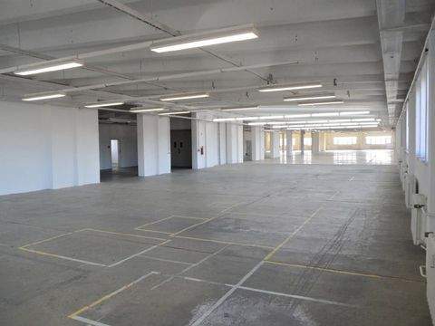 Sangerhausen Halle, Sangerhausen Hallenfläche