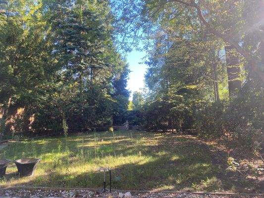 Photo_Garden_Villa Berlin Grunewald.jpg