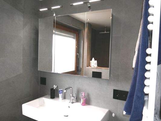 Bad-WC-Dusche NEU OG Bild 3