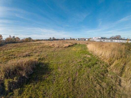 Gewerbefläche Neustadt am Rbg.