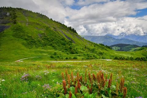 Triberg im Schwarzwald Gastronomie, Pacht, Gaststätten