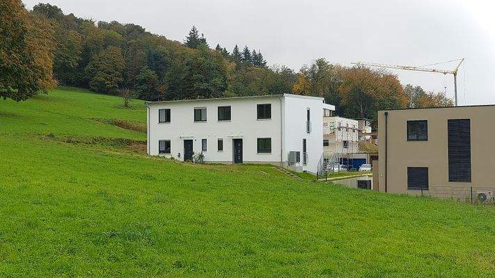 Nordansicht mit Grünfläche