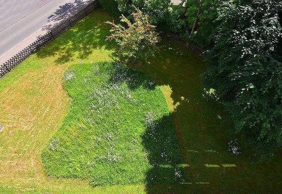 Blick von der Wohnung in den Garten