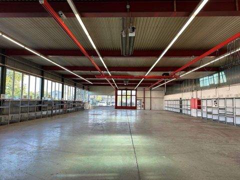 Endingen Halle, Endingen Hallenfläche