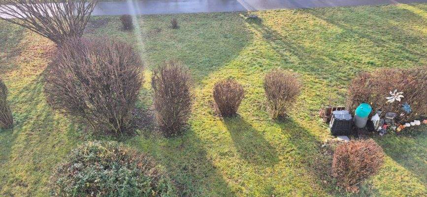 Ausblick Gartenseite