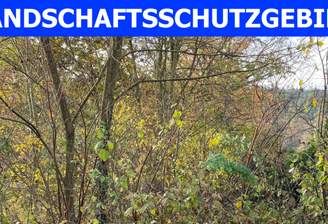 Landschaftsschutzgebiet