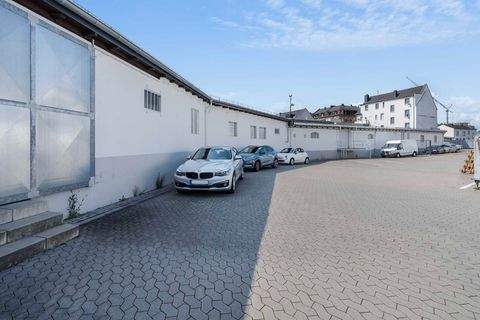 Koblenz Halle, Koblenz Hallenfläche