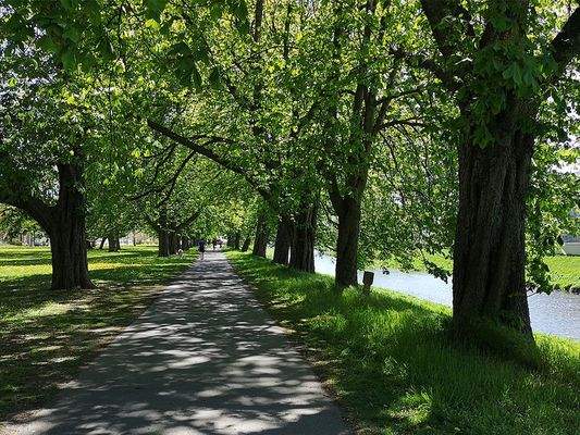 Vor der Hauatür_Uferpromenade im Hofwiesenpark
