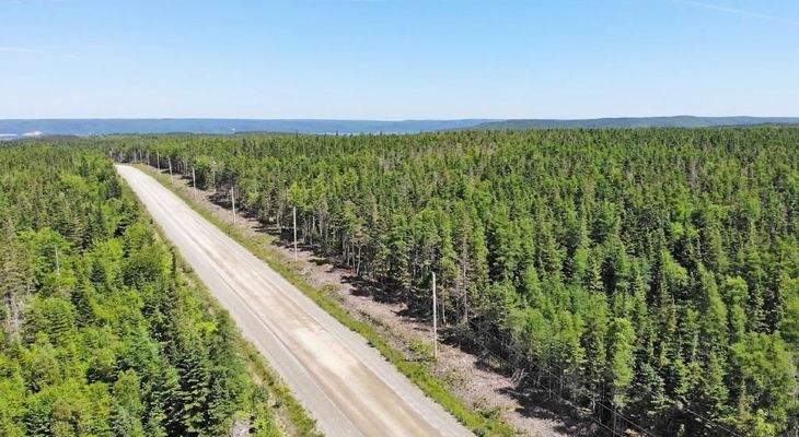 Cape Breton - Big Pond - East Bay Hills - Großzügi