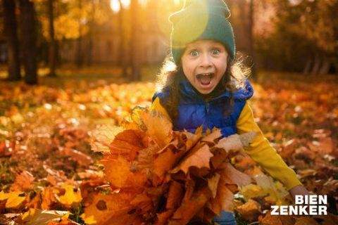 Dresden Häuser, Dresden Haus kaufen