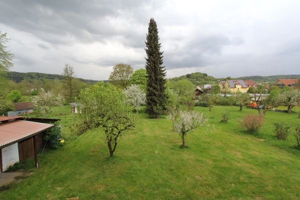 Blick in den Garten