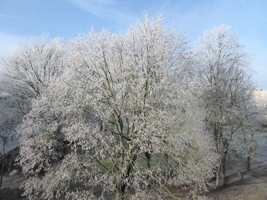 Winteraussicht nach Westen