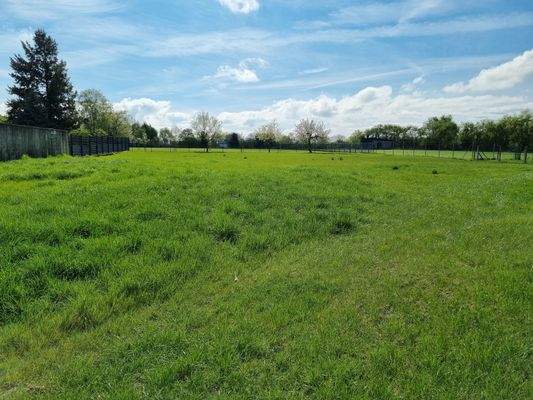Blick vom Grundstück nach Süden