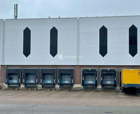 Kreuztal Halle, Kreuztal Hallenfläche