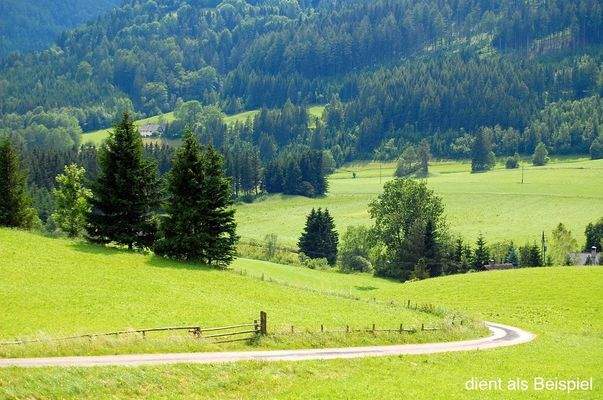 Olang-Mitterolang-Wandern-Berge-Kronplatz-Pustertal-Skiegebiet-Urlaub-Ferienwohnung-4-Zimmer-3-Schlafzimmer-Mansarden