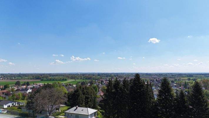 Ihr zukünftiger Ausblick