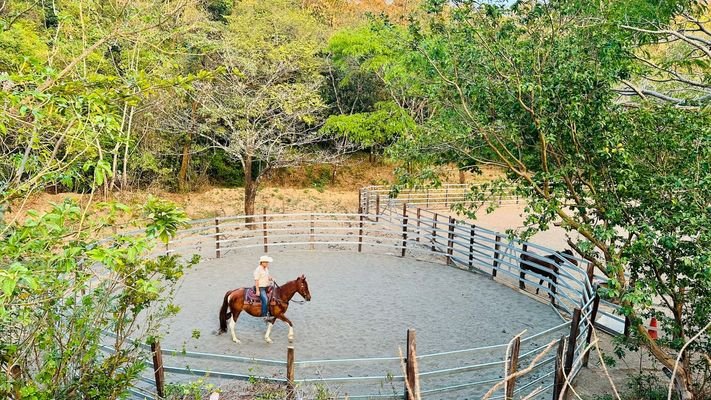 Round-Pen (2).JPG