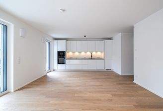 Wohnbereich mit Blick auf die Einbauküche