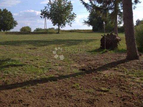 Beli Manastir Bauernhöfe, Landwirtschaft, Beli Manastir Forstwirtschaft