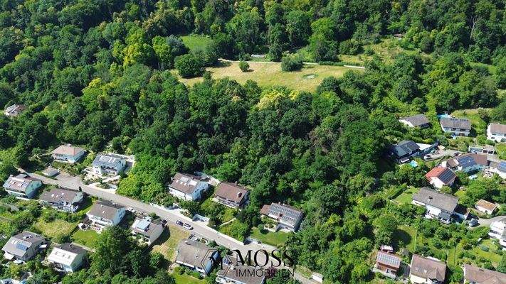 Fasnachtsfeuerwiese oberhalb