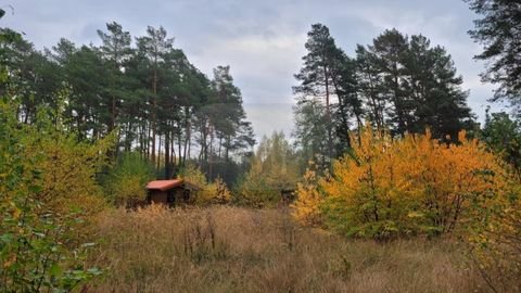 Borkheide Grundstücke, Borkheide Grundstück kaufen