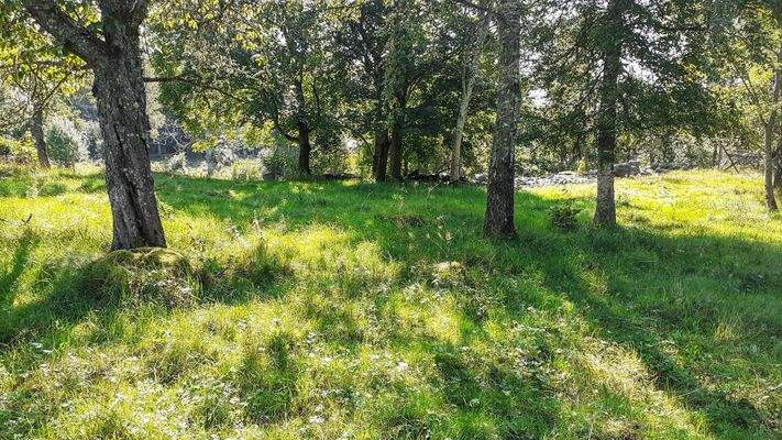 Kundenbilder (28).jpg