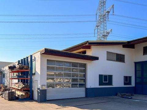 Reutlingen Halle, Reutlingen Hallenfläche