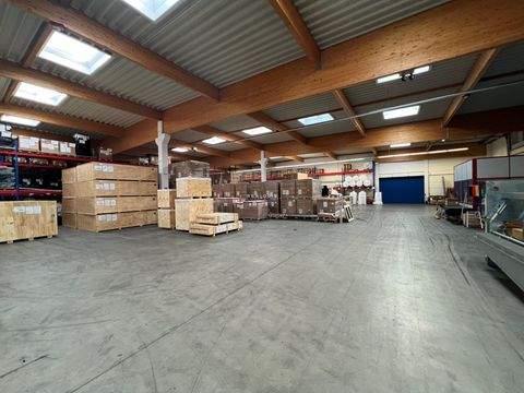 Hamburg Halle, Hamburg Hallenfläche