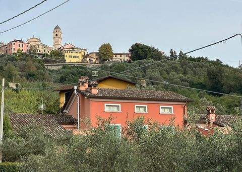 Cerreta Castelnuovo  Häuser, Cerreta Castelnuovo  Haus kaufen
