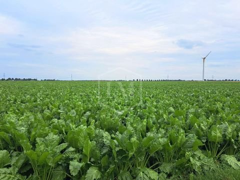 Kerpen Bauernhöfe, Landwirtschaft, Kerpen Forstwirtschaft