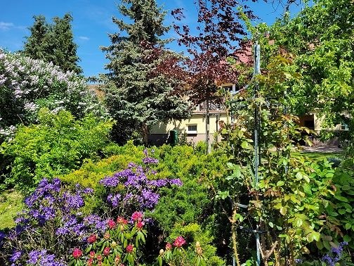 Garten 02