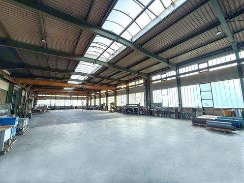 Trostberg Halle, Trostberg Hallenfläche