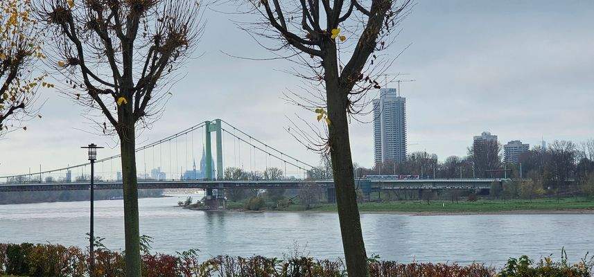 Blick auf Mühlheimer Brücke und Dom